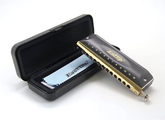 East top 12 Hole 48 Tune Chromatic Harmonica,Musical Instrument (T12-48-BK)