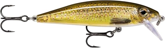 Rapala X-Rap CountDown Sinking Lure for Freshwater Fish Including Trout, Salmon, Perch, Zander and Pike.