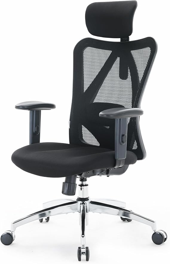 SIHOO M18 Ergonomic Office Chair, Adjustable Lumbar Support, 330 lb, Black