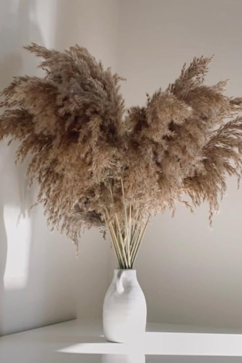 Gerçek 7'li Kuru Çiçek Pampas