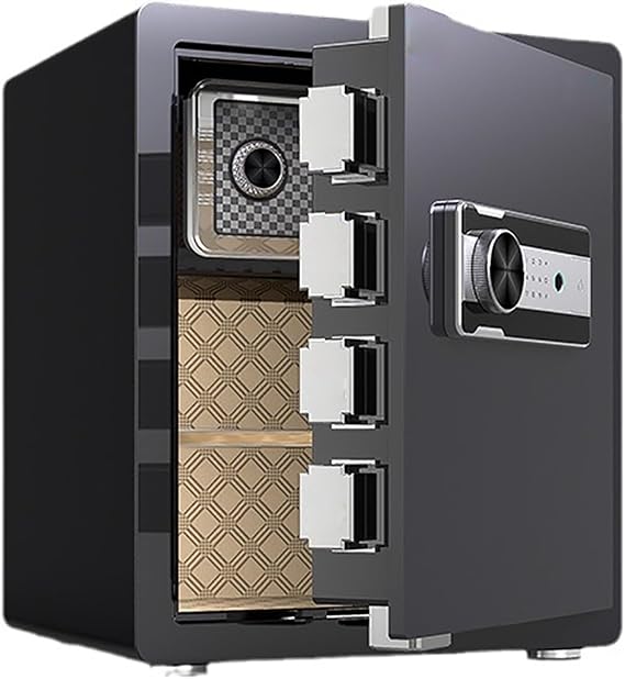 Small Safe for Home Fire Safe Box Biometric Safebox with Alarm System, Security Box with Electronic Digital Keypad, Fingerprint Recognition, Keys(Black)
