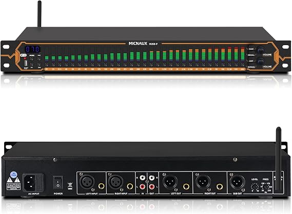 Equalizer for Home Stereo Audio System, Professional 31-Band Graphic Equalizer Rack Mount Music Digital EQ Studio Equalization with Spectrum Analyzer Display & Noise Reduction