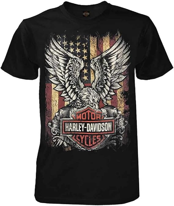 Harley-Davidson Men's 30298995 T-Shirt (Pack of 1)