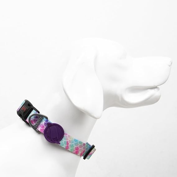 Tailpetz Ayarlanabilir Dayanıklı ve Konforlu Desenli Köpek Boyun Tasması (SMALL, BUBBLES)