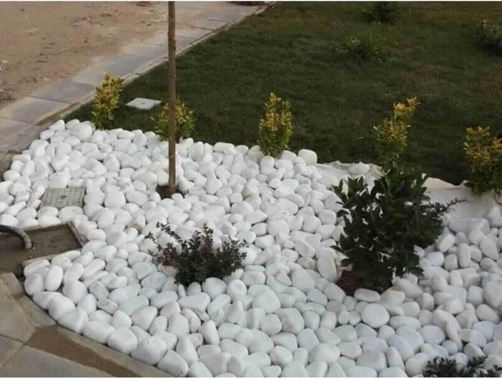 Beyaz Dolomit 25 Kg 2,5-4 Cm Dolamit Taşı Dere Çakıl Taşı Bahçe Süs Taşı Dekoratif Taş Loche No.4-5