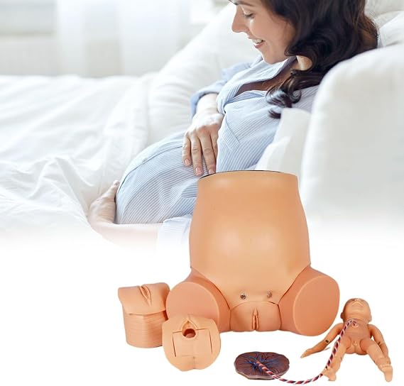 Birth Midwifery Training Model,Standard Childbirth Simulator, Life Size Demonstration Female Dystocia Childbirth Manikin - Demonstrate Various Scenario Child Birth Education Tools