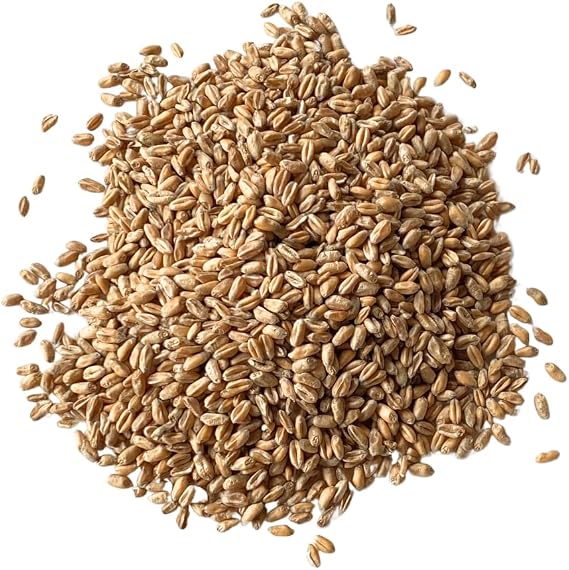 Milling Wheat – UK Regeneratively Grown | Premium Grain Suitable for Making Wholemeal Bread Flour | From Brow Farm (1kg)