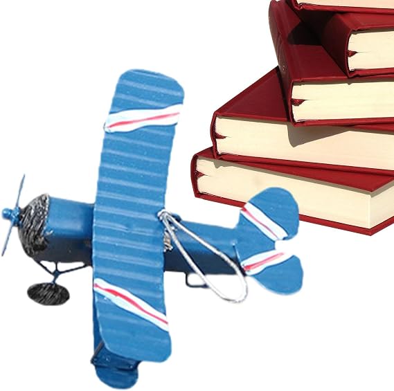 Mini Airplane Ornament 10*9*5cm Iron