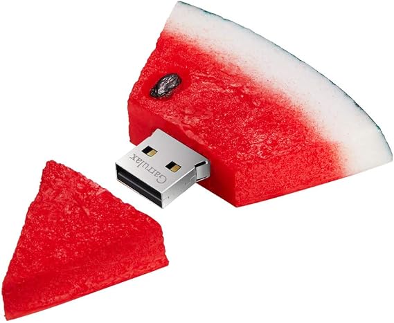 USB Flash Sürücü, 8 GB / 16 GB / 32 GB Yenilik Sevimli Karikatür USB Bellek Çubuğu Tarih Depolama Çocuklar Kolej Öğrenci için Pendrive Parmak Sürücüleri (64 GB, Karpuz)