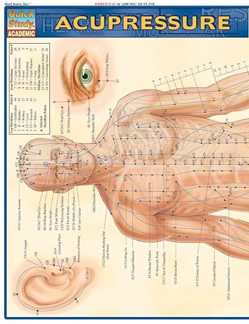 Acupressure Laminated Reference Guide Quick Study Academic Outline
