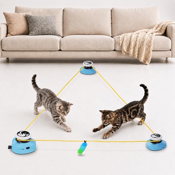 Katzenspielzeug Elektrisch Katzenlaufrad Interaktives Selbstbeschäftigung