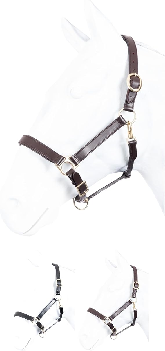Marengos - Robust Leather Headcollar - Headcollar for Horses - Horse Halter with Extra Padded Noseband & Headpiece - Brass Fittings - Multiple Adjustable - Brown or Black