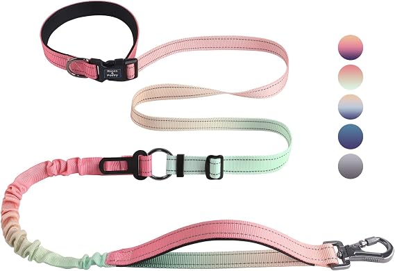 Roses&Poetry Hands Free Dog Leash Heavy Duty,No Pull Bungee Dog Running Waist Leash for Walking Training with Car Seatbelt 4-6FT