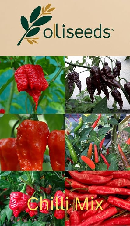 Chilli Seed Variety Pack – 7 Hot Pepper Varieties (Carolina Reaper, Trinidad Moruga Scorpion, Ghost, Habanero & Bird’s Eye) – 35+ Seeds – Hot Chilli Seeds for Planting – OliSeeds