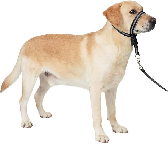 BARKLESS Köpek Baş Yaka, Yumuşak Dolgulu Küçük Orta Büyük Köpekler için Yansıtıcı Baş Boyundan Bağlamalı, Eğitim Tasmalı Çekme Köpek Ağız Koşumu, Nazik Yürüyüş için Ayarlanabilir Namlu Tasması (Siyah,