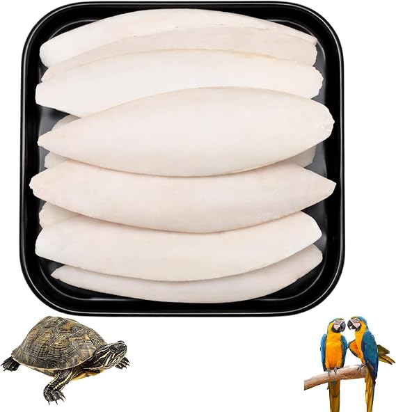 Cuttlefish Bone, Cuttlefish for Birds, Cuttlefish Bone for Tortoise, Calcium Powder for Reptiles, Natural Calcium Supplement, 16 Pieces