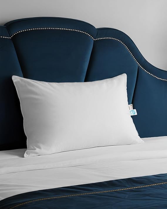 White Goose Down Pillow 42x70 cm - 750 Fill Power Luxury Hotel Quality Bed Pillow with Pillowcase for Back, Side, Stomach Sleepers, 1 Pack