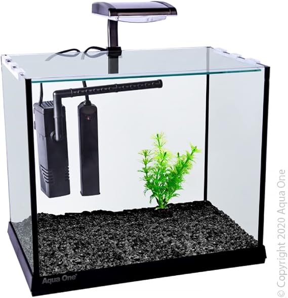 Aqua One Betta Oasis 13L Aquarium with LED, Heater and Filter. 31x20x26cm