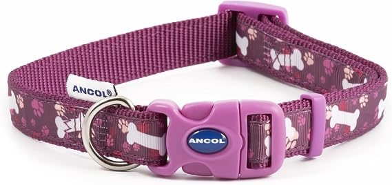 Ancol Fashion Dog Collar Purple Bone Adjustable Nylon Collar for Puppies and Pets - Stylish Paw and Bone Design with Snap Buckle Fastening - Weatherproof Comfortable Fit for Dogs - Size 20-30cm