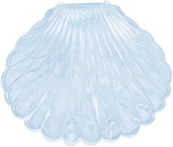 Transparent Seashell Shape Jewelry Necklace Bracelet Storage Organizer Box Case