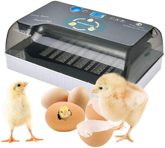 nsbs Automatic Incubator, Automatic Hatching Egg, Hatching Machine, 12 Eggs, Automatic Rolling Egg, Hatcher, Small Automatic Hatching Egg, Hatcher, Large Capacity, Automatic Temperature Control, Easy