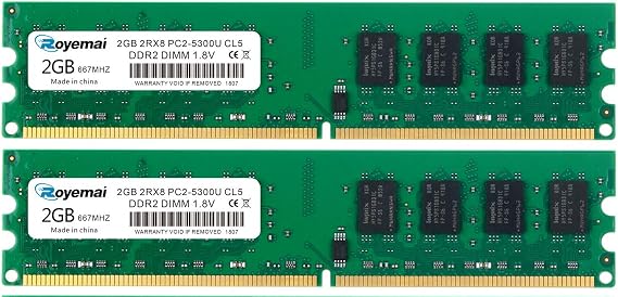 DUOMEIQI DDR2 4GB Kit (2x2GB) 667 MHz, PC2-5300/5400, 240-Pin 2Rx8 Desktop Memory 1.5v/1.8v CL5 RAM Module for Intel AMD System