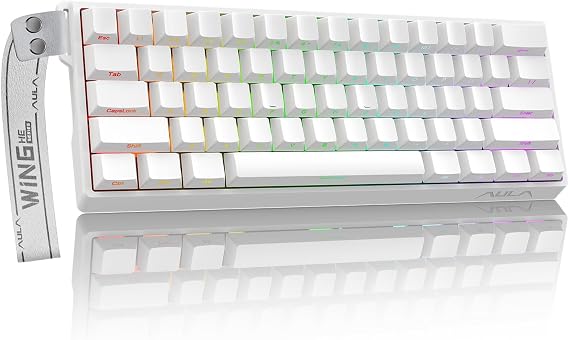 WIN60 HE 60%メカニカルキーボード 有線 ホール効果ゲーミングキーボード 磁気スイッチ ホットスワップ可能 調整可能な作動 ラピッドトリガーモード 8000Hz ポーリングレート RGBキーボード 60%デザイン