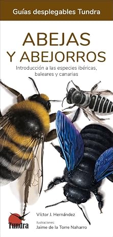 Abejas y abejorros (GUIAS DESPLEGABLES)