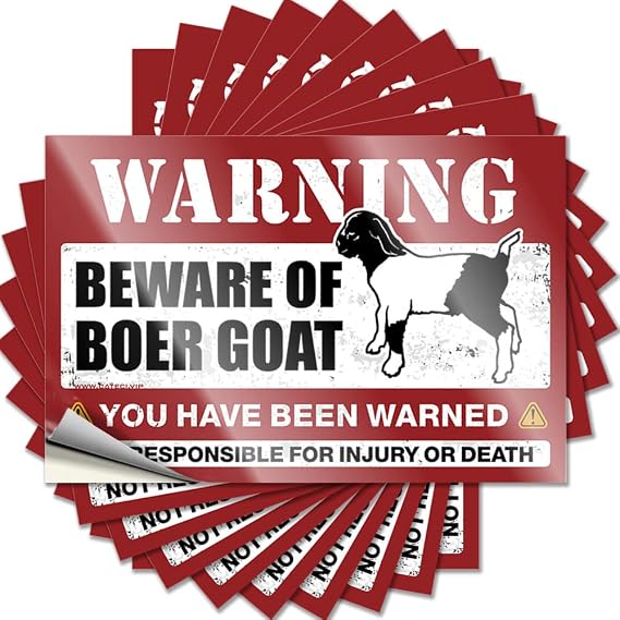 Car Stickers for Men Beware of Boer Goat Funny Sticker 10 Pcs Tool Decal Bumper(6X9CM)