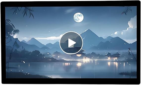 Capacitive Multi-Touch Screen Industrial Monitor, Built-In Speakers, Digital Signage Displays and Player for Movie Poster Advertising Display,49"