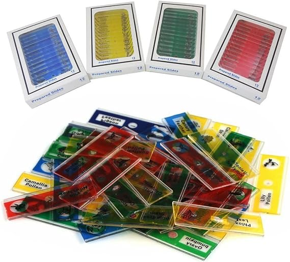 48pcs Prepared Microscope Slides,Biology Plastic Animals Insects Plants Flowers,Mgoodoo Lab Specimens Portable Educational Microscope Slides(4 Boxes)