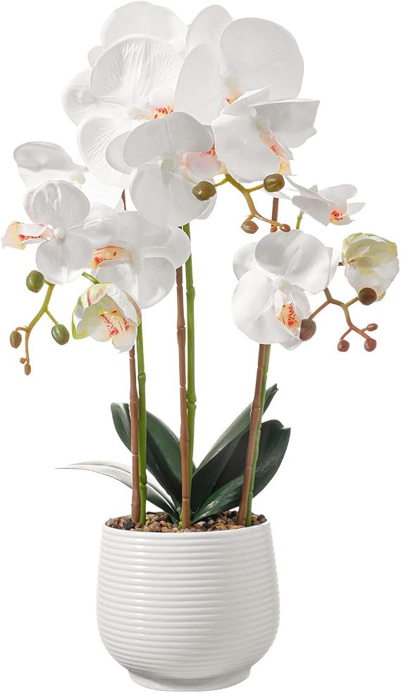dallisten 16'' Realistic Artificial Orchid Flowers in Pots, Fake Orchid White Silk Phalaenopsis Plants for Home Decor, Wedding Centerpiece, Office & Bedroom Decoration