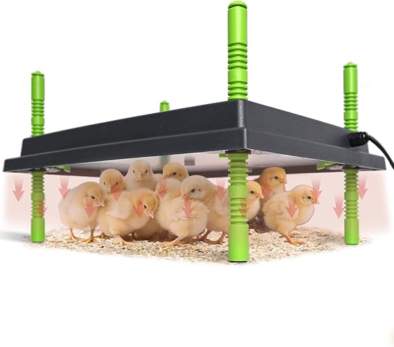 Chick Brooder Heater Plate, Brooder Plate for Chicks & Ducks, 30W Constant Temp Control, Green, 12"x16"