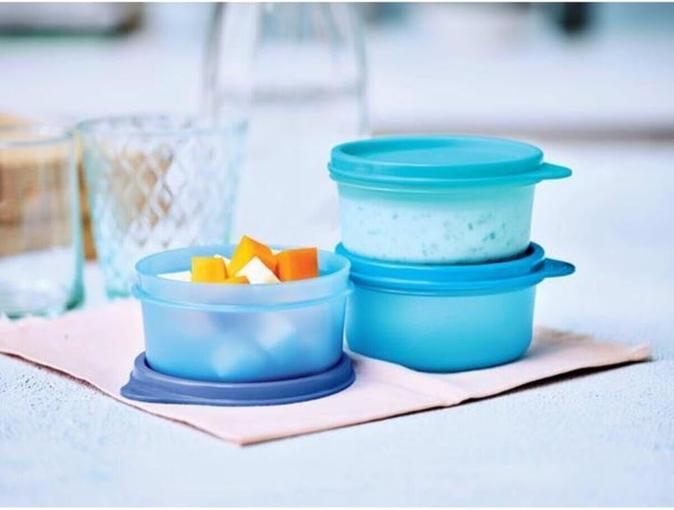 Tupperware Mini Buzdolabı Saklama Kabı