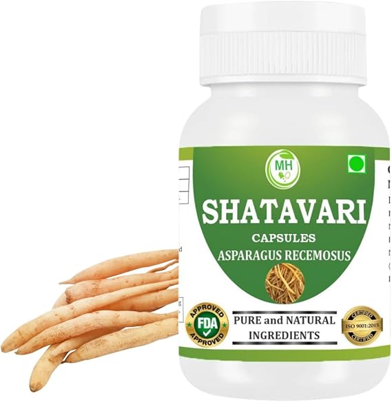 Shatavari (Asparagus racemosus) Capsule | Pack of 60 x 500 MG. Vegetarian Capsules | Natural Herbal Supplement | GMP Certified | Gluten Free (Pack of 1)