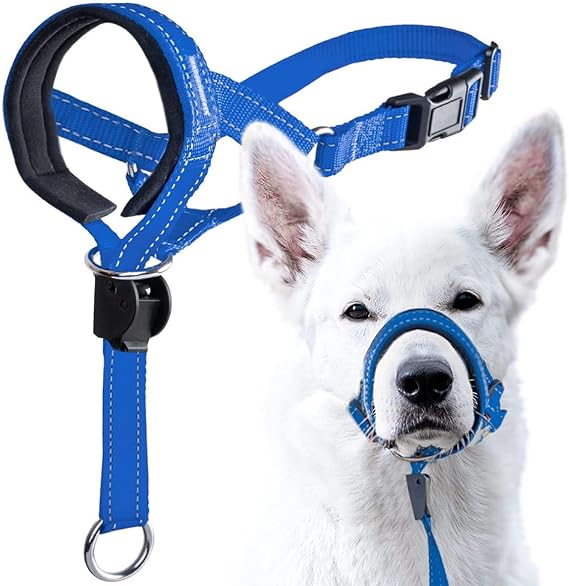 Dog Muzzle Adjustable Leash Set with Breathable Mesh and Durable Nylon for Training, Barking, Biting, and Chewing