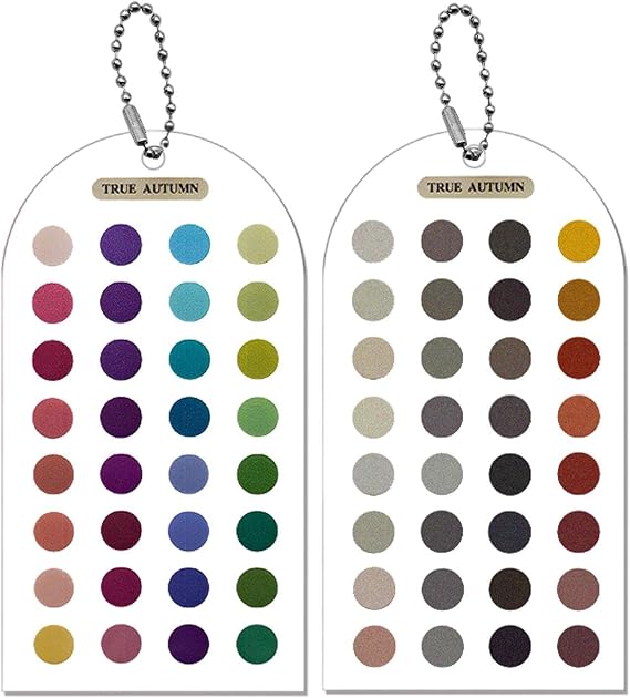 Color Analysis Template Cards, 2 Pieces Acrylic Color Matching Guide Cards Dòuble-Sided Palette Compact Styling Tool