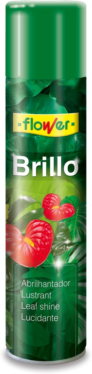 Flower - Natural Leaf Polish 800 ml | Instantly Improves and Enhances | Removes Lime Stains from Leaves | Dearomatized and Hypoallergenic Spray