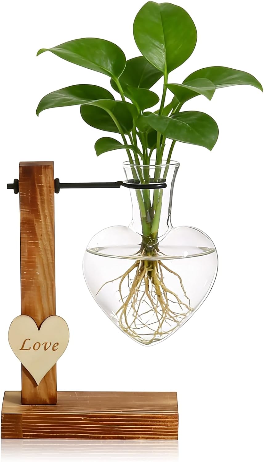 Holzständer Glaspflanzenterrarium Herz-Glas-Hydroponikvasen Pflanzenvermehrungsstation Tischpflanzgefäß für Blumen Hydrokultur-Blumenvase Kleine Vasen Tischdekoration