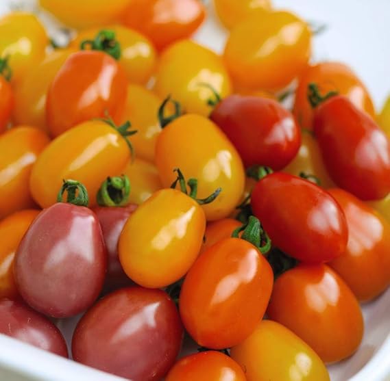 Thompson & Morgan - Vegetables - Tomato Rainbow Blend F1 Hybrid - 5 Seed
