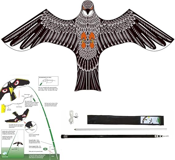 Bird Deterrent Printed Hawk Kite Reflective Wings with Fiberglass Pole