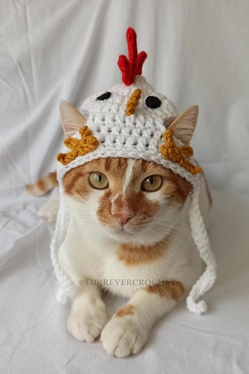 Tavuk Bere Beyaz Örgü Kedi Köpek Şapkası Evcil Hayvan Şapkası Pet Aksesuarları
