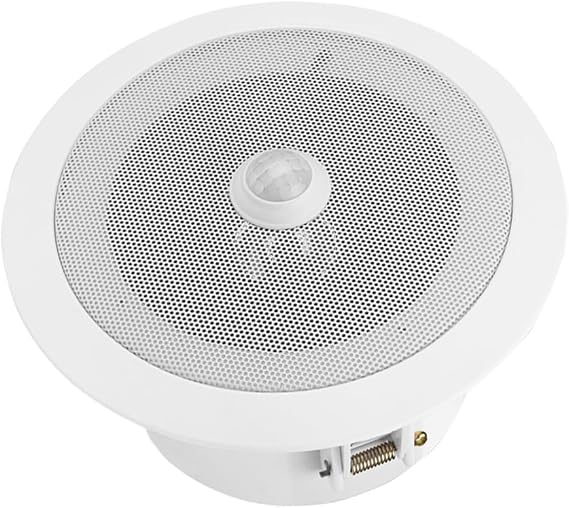 Ceiling Speaker Overhead Motion Activated Audio Player PIR Triggered with Built-in MP3 Music Player