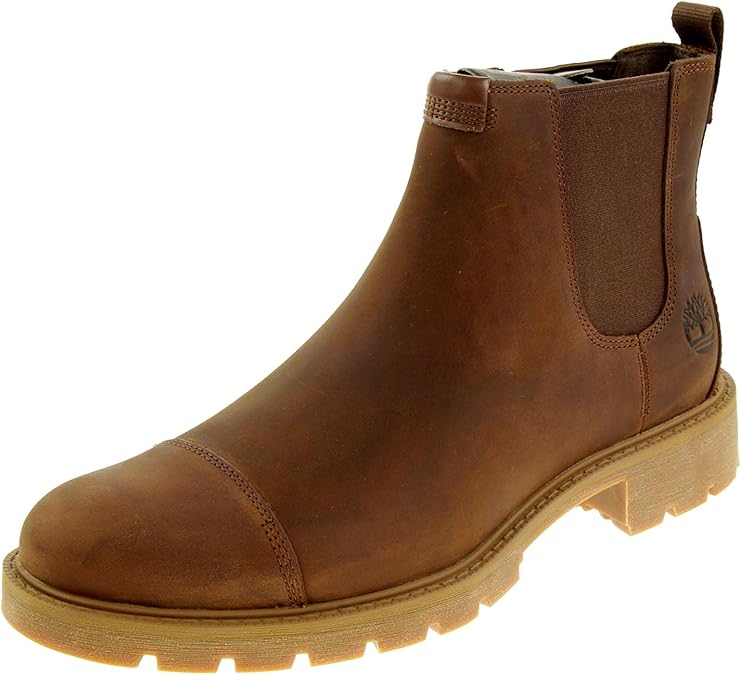 Timberland Men's Tb0a29760011Fashion Boots