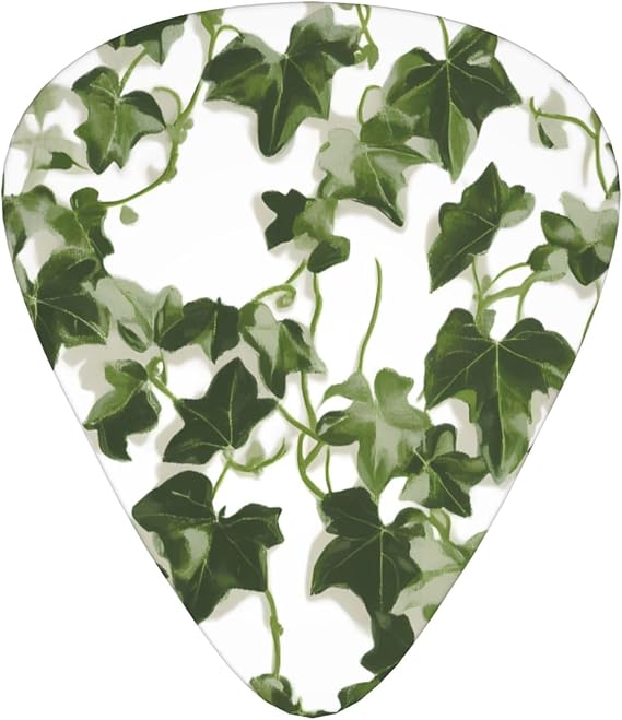 Green Ivy Guitar Picks Gift Set – Smooth Durable Plectrums For Acoustic, Electric & Bass Guitar, Perfect Present For Guitar Lovers & Musicians