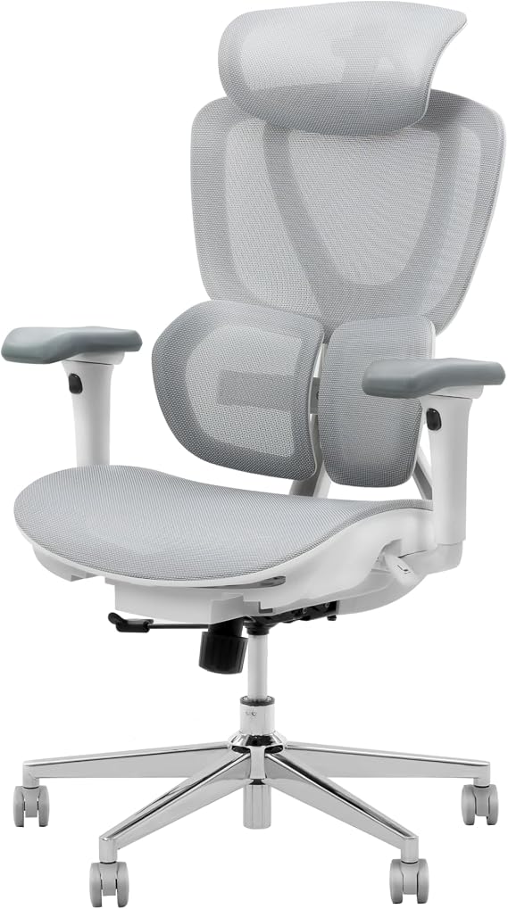 Flexispot オフィスチェア デスクチェア C8 メッシュチェア 2way自動適応ランバーサポート 在宅勤務 人間工学 グレー