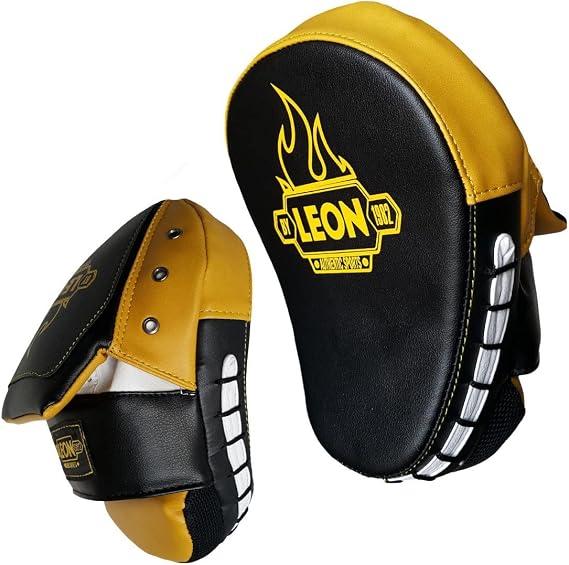 Leon Pro Boks, Kick Boks Muay Thai ve MMA El Lapası