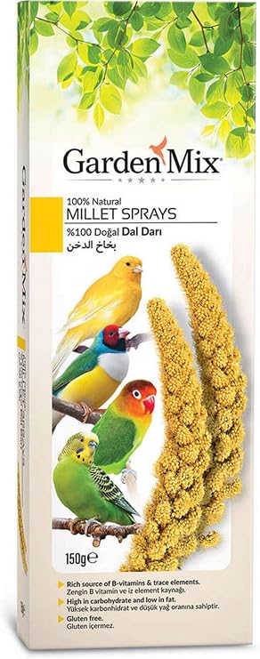 Gardenmix Platin Sarı Dal Darı