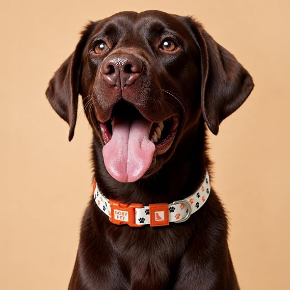 GOBYPET Desenli Köpek Boyun Tasması 25 mm, Ayarlanabilir 39-55 cm, Güçlendirilmiş Emniyet Kilitli Toka, Paslanmaz Metal D Halka, Dayanıklı Kumaş, Günlük Kullanım, Yürüyüş ve Eğitim İçin