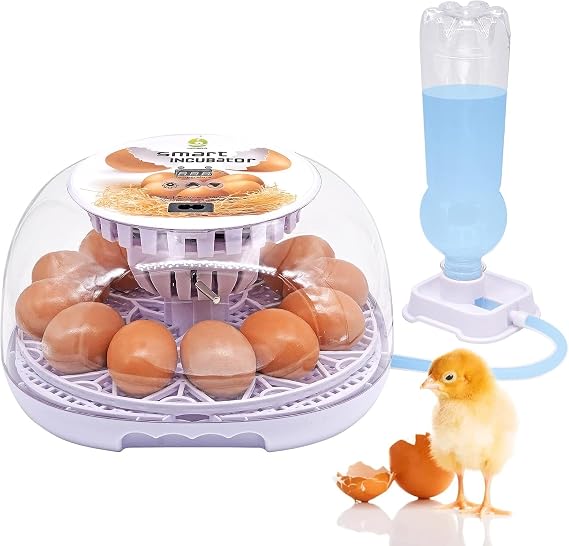 Egg Incubator Automatic Hatching Egg, 12 Eggs, Automatic Water Supply for Birds, Automatic Temperature Control, Washable, Easy Operation, Low Noise, Humidity Retention, For Children Education, Home